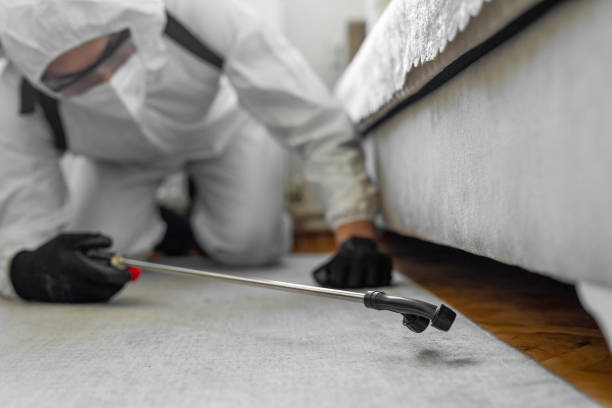 Professional Mosquito Control technician working in Summit, IL