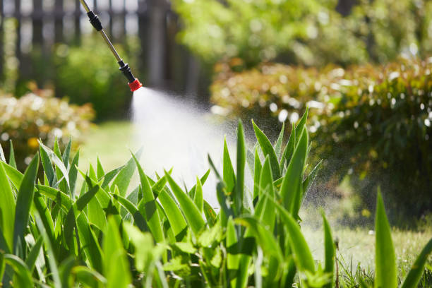 24/7 Emergency Mosquito Control experts in Summit, IL